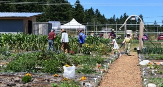 Overmarsh Growth
