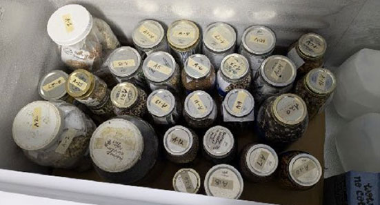 Grange Seed Bank News